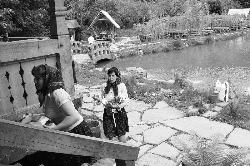 cucoane de maramu.JPG